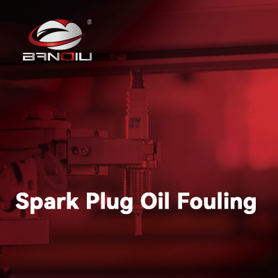 Spark Plug Oil Fouling