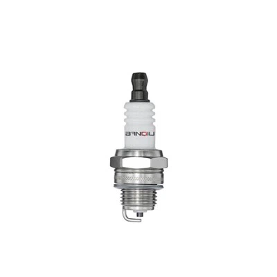 Garden Tools Spark Plug BPMR6A-10 1029
